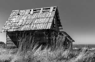 Barn near Little River 2-5473